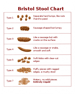 bristolstoolchart