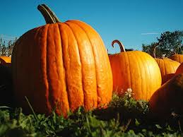 pumpkin benefits health